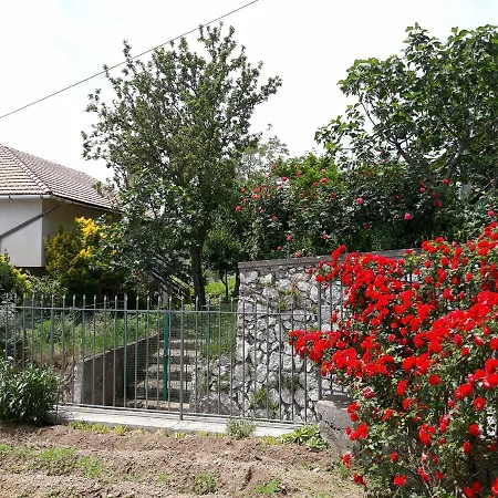 Bb Santalucia-2